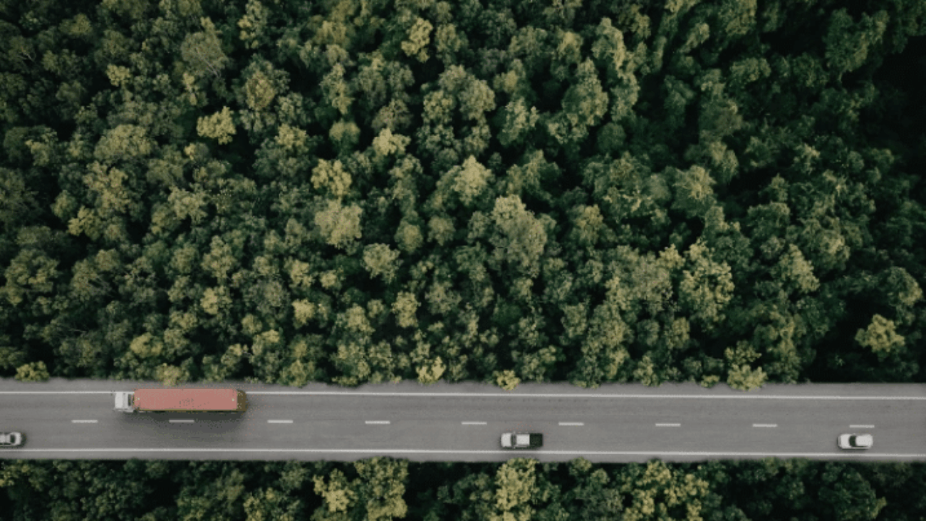 Aerial view of a dense green forest with a straight paved road cutting through the trees. A large truck and two smaller cars travel along the road, surrounded by thick foliage.